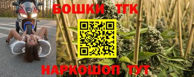 герыч Камышлов