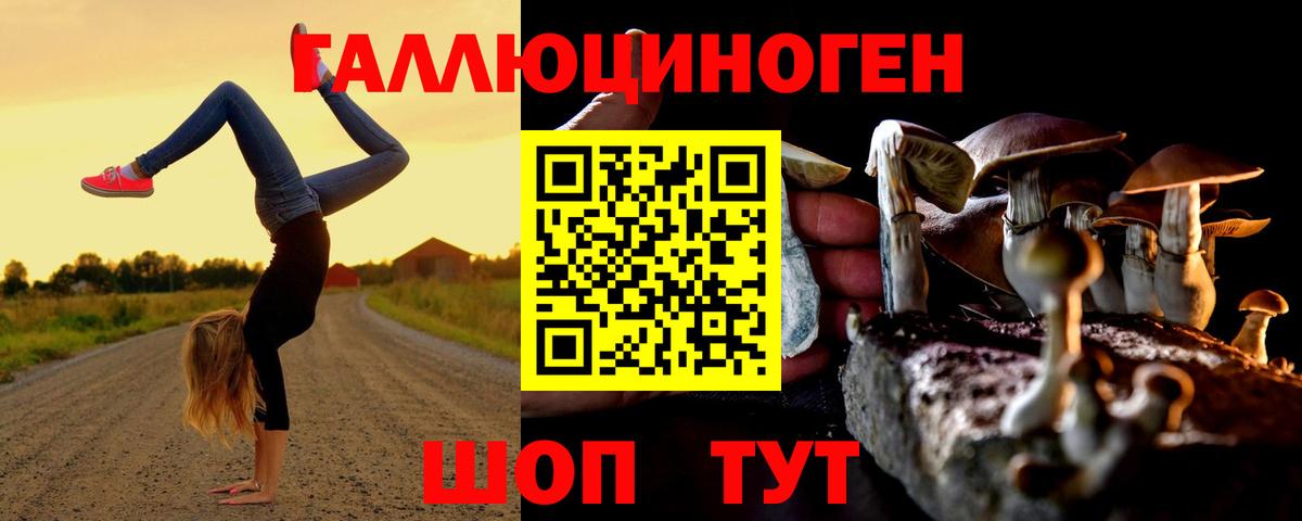 Псилоцибиновые грибы GOLDEN TEACHER  Псилоцибиновые грибы Cubensis  Кубинка  Вход с VPN 