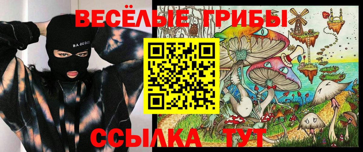 Галлюциногенные грибы GOLDEN TEACHER Кубинка